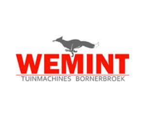 wemint tuinmachines bornerbroek