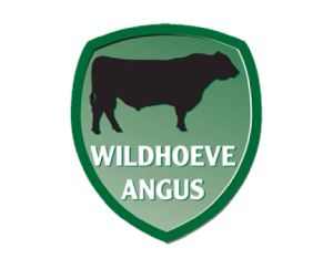 wildhoeve angus